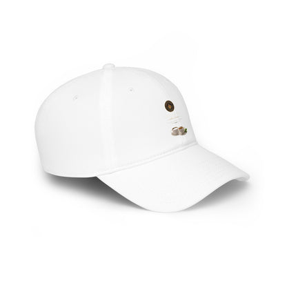 Low Profile Baseball Cap